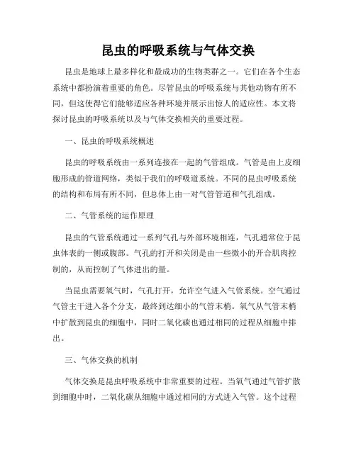 昆虫的呼吸系统与气体交换