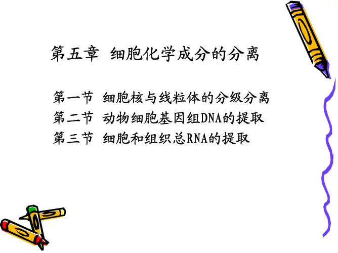 细胞化学成分的分离