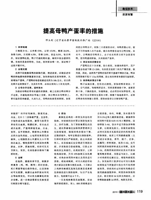 提高母鸭产蛋率的措施
