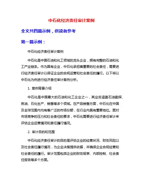 中石化经济责任审计案例