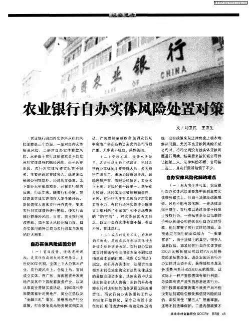 农业银行自办实体风险处置对策