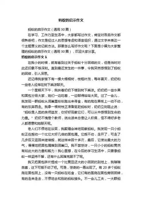 蚂蚁的启示作文