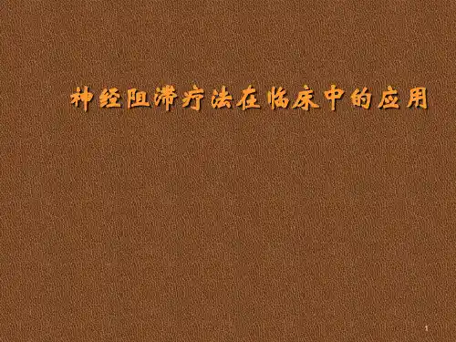 神经阻滞在临床中的应用PPT医学课件