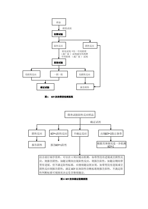 HIV抗体确证检测流程