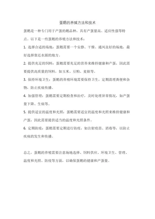 蛋鹅的养殖方法和技术