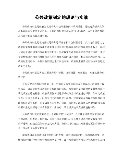 公共政策制定的理论与实践