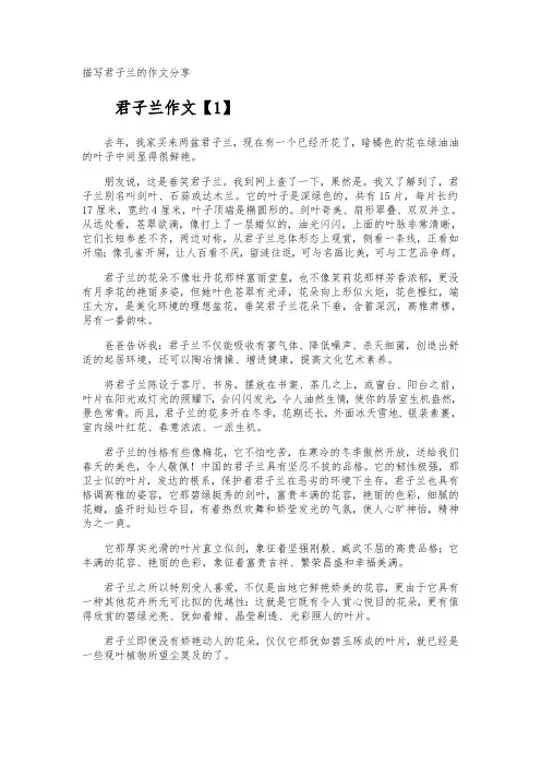描写君子兰的作文分享