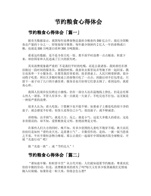 节约粮食心得体会