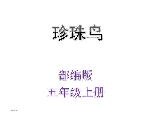 部编版五年级上册《珍珠鸟》最新精品课件ppt完美版