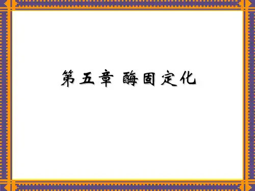 酶的固定化
