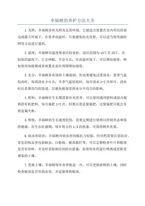 幸福树的养护方法大全
