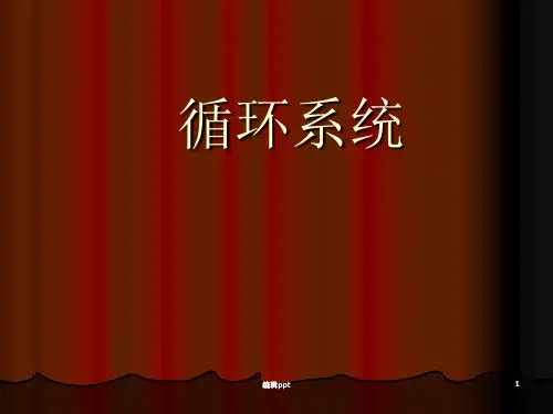 循环系统图示