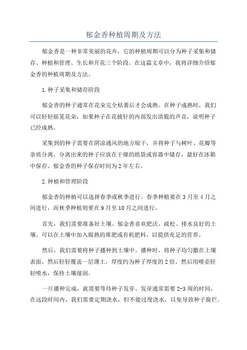 郁金香种植周期及方法