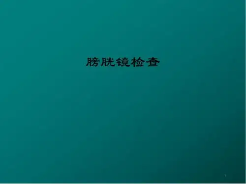 (推荐课件)膀胱镜检查PPT幻灯片