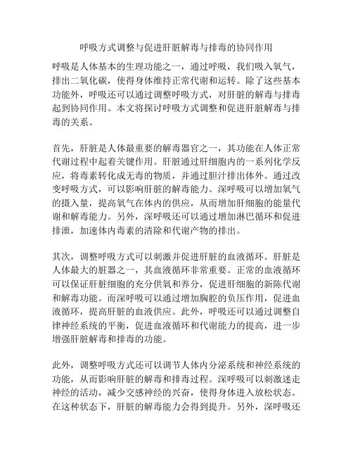 呼吸方式调整与促进肝脏解毒与排毒的协同作用