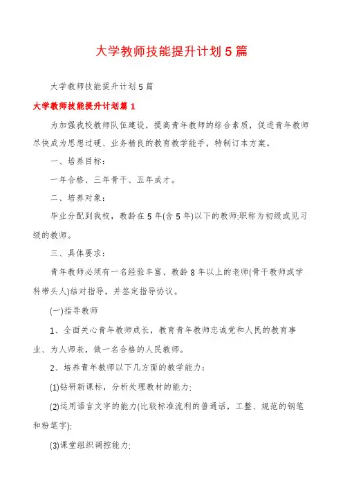 大学教师技能提升计划5篇