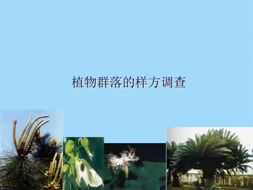 植物群落的样方调查ppt(共55张PPT)
