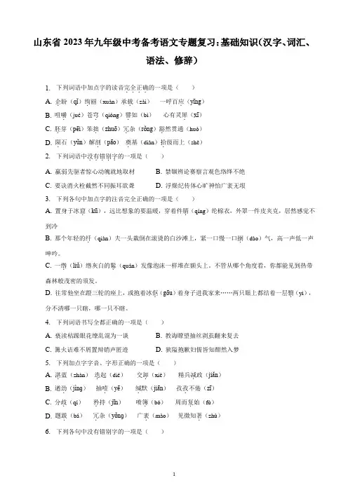 山东省2023年九年级中考备考语文专题复习：基础知识(汉字、词汇、语法、修辞)(含解析)