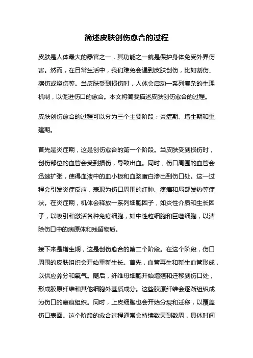 简述皮肤创伤愈合的过程