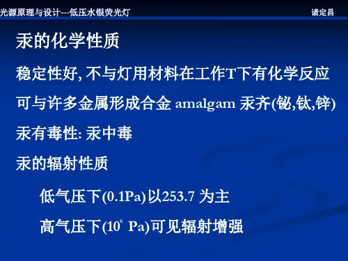气体放电灯
