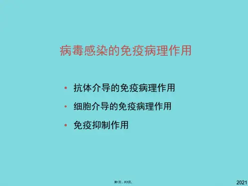病毒感染的免疫病理作用(与“细胞”有关优秀PPT)