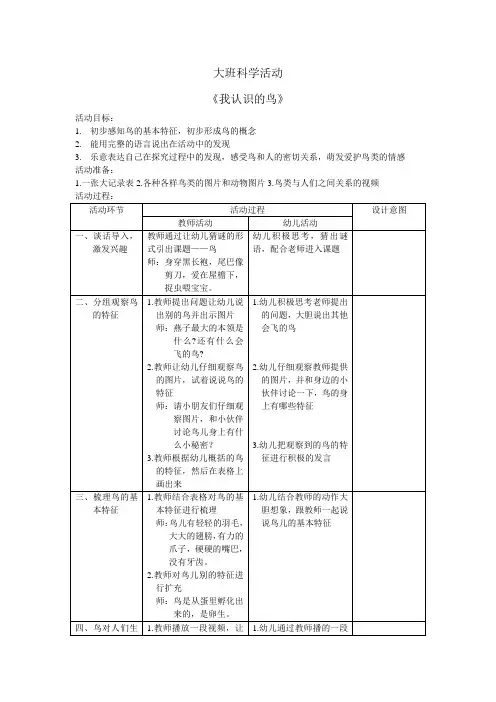 大班科学《我认识的鸟》