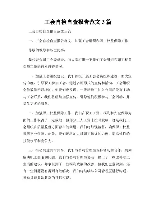 工会自检自查报告范文3篇