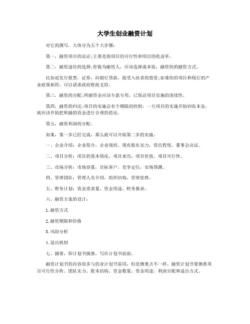 大学生创业融资计划