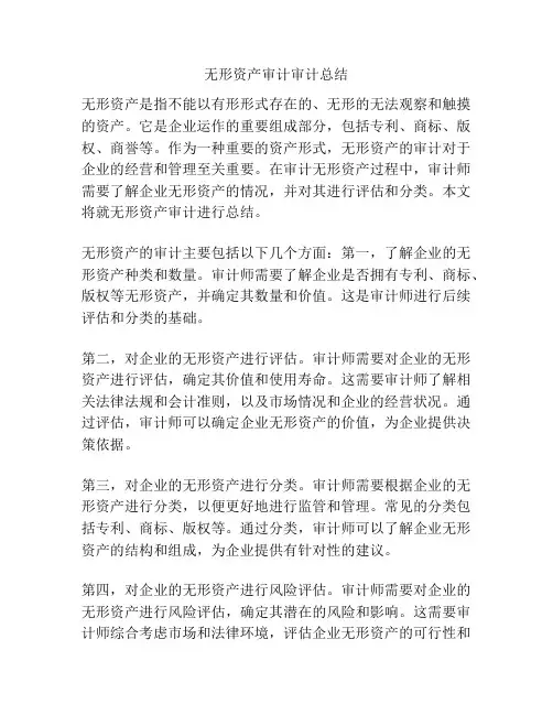 无形资产审计审计总结