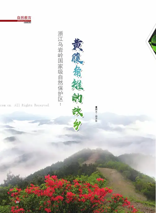 浙江乌岩岭国家级自然保护区：黄腹角雉的故乡