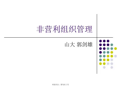 非营利组织管理课件