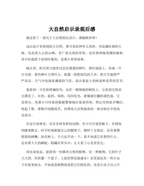 大自然启示录观后感