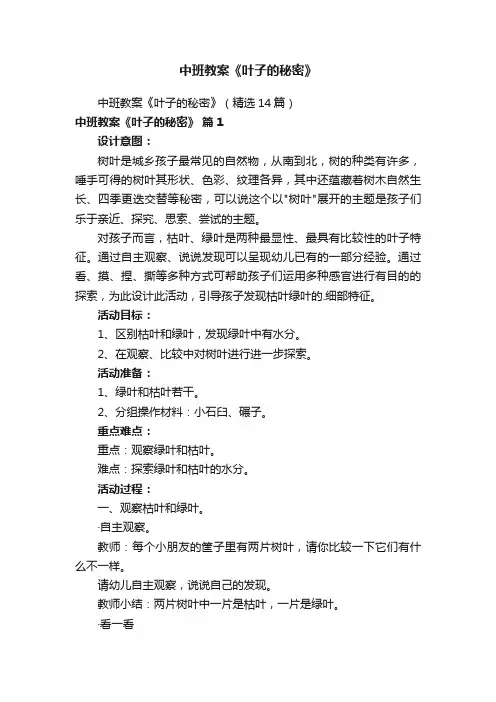 中班教案《叶子的秘密》