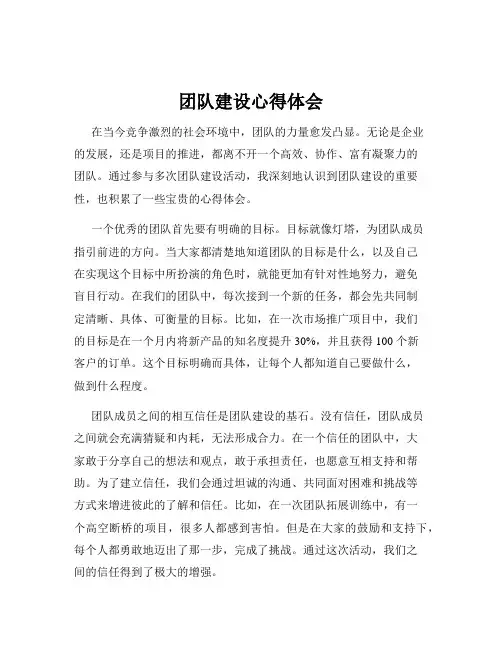 团队建设心得体会