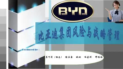比亚迪公司风险与战略管理