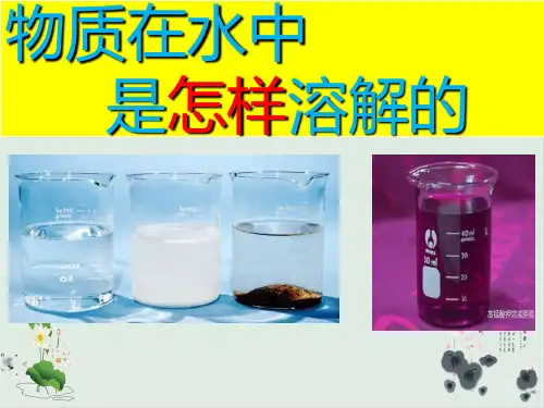 四年级上册科学课件《物质在水中是怎样溶解的》 教科版