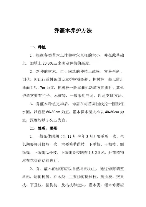 乔灌木养护方法