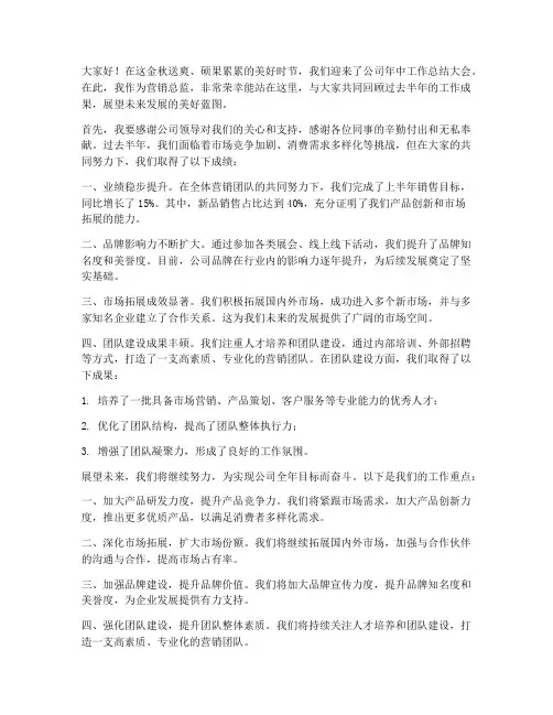 营销总监年中发言稿范文