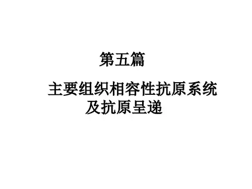 免疫学-MHC及抗原呈递-课件