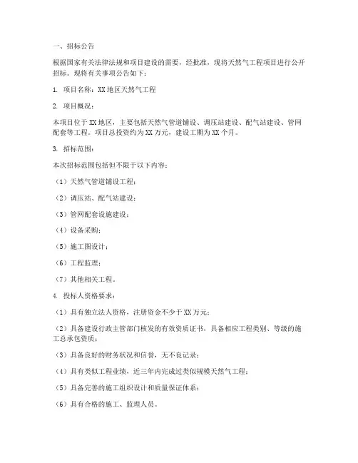 天然气工程招标文件