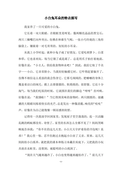 小白兔耳朵的特点描写