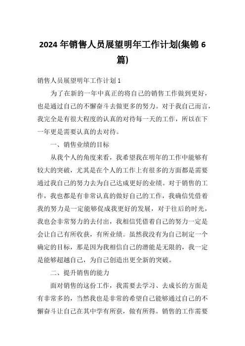2024年销售人员展望明年工作计划(集锦6篇)