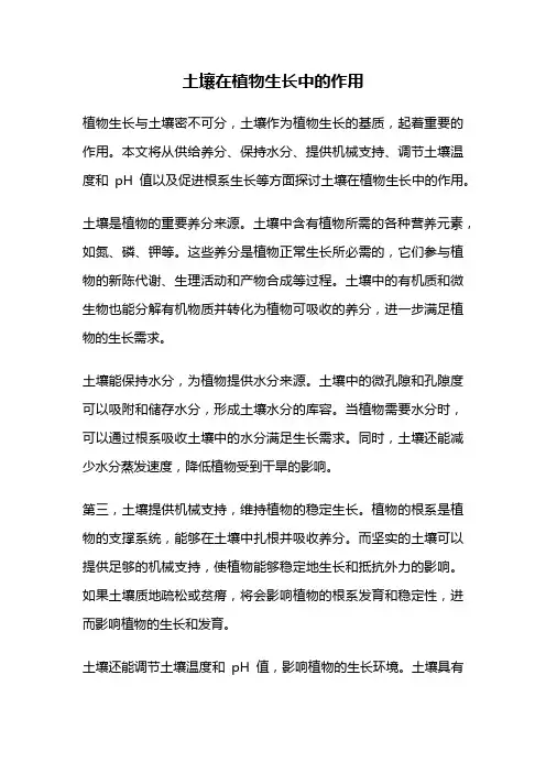 土壤在植物生长中的作用
