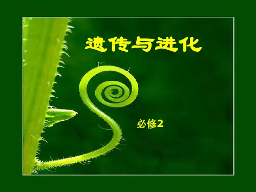 生物 新人教版必修2 《第一章 遗传因子的发现 第1节 孟德尔的豌豆杂交实验(一)》课件