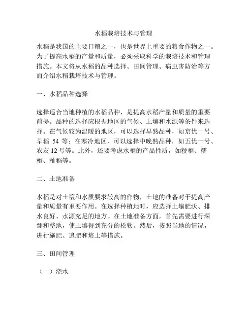 水稻栽培技术与管理