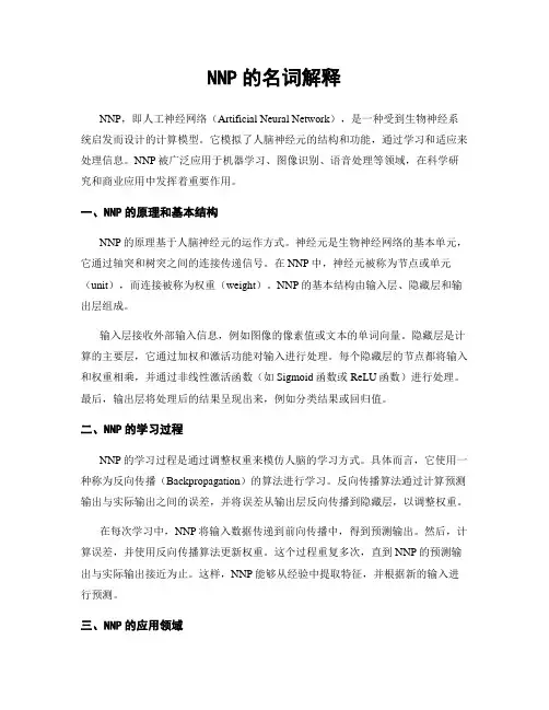 NNP的名词解释