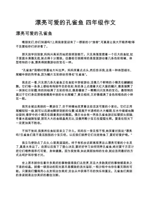 漂亮可爱的孔雀鱼 四年级作文