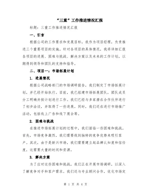 “三重”工作推进情况汇报