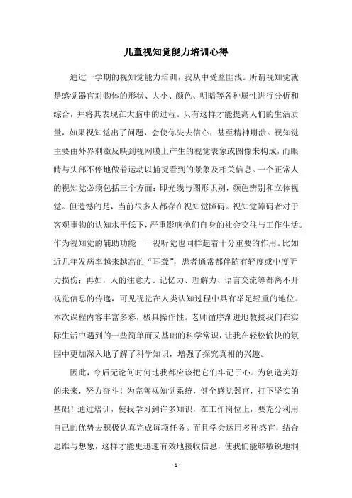 儿童视知觉能力培训心得
