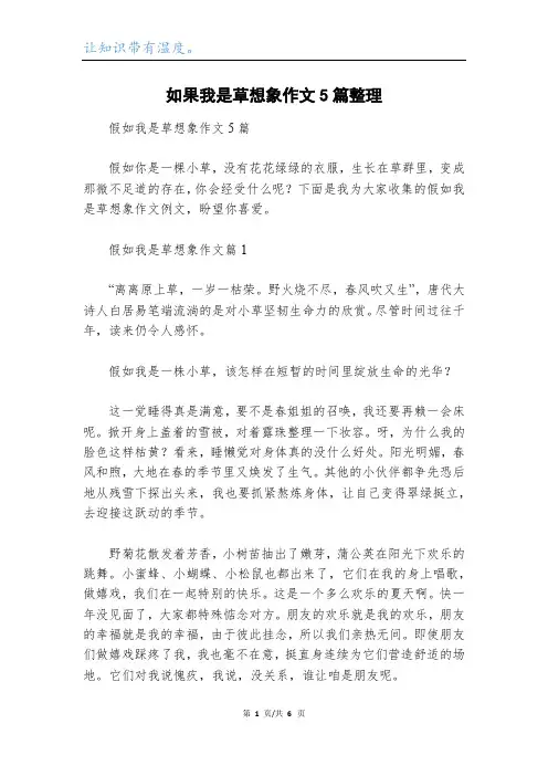如果我是草想象作文5篇整理